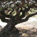 순흥향교 이미지