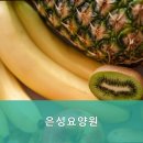 은성인력 | 연로하신 부모님 위한 덕양구 요양원 추천 은성요양원 고기 맛집 추천