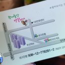 광어총각 생굴처녀 티스토리