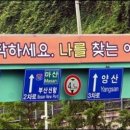 (주)여행버스티비 이미지