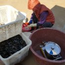 버드네농장2 이미지