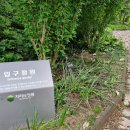 구례수목원 유아숲체험원 이미지