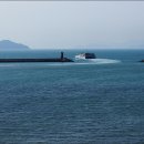 가고픈청보리 이미지