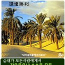 샬롬 Daum카페