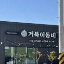 거북이집 | 울산 북구에 이런 고기집이 있었어? — 거북이동네 매곡점 후기