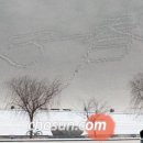 실크로드주유소 조선일보