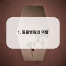 허브동물병원 이미지