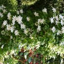 전원 어린이집 이미지