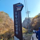 대성우체국 앞 이미지