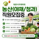 경기야채