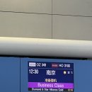 349 | [OZ349] 아시아나 탑승후기 인천공항 -&gt; 중국 난징 루커우 국제공항