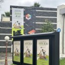 Be IN;(비인) | 제주 비인Be IN 제주환경토크콘서트 푸릉푸릉제주 최유리 후기