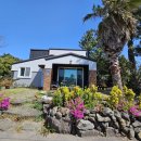 비자림스마일 이미지