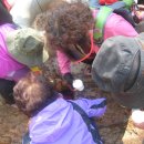 오색마실 이미지