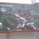 대둔산자연휴양림 Daum카페