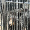 진정농장 | 강릉 동해 가볼만한곳 강릉 쌍둥이 동물농장평일 방문 찐 후기! (feat. 묵호 여행 코스) 제목없음