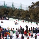 천안상록리조트 이미지