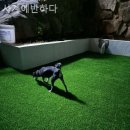 사계에반하다2 이미지