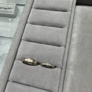 적현 | 나 혹시 결혼하나..? 소린, 므온트, 흰주얼리 다녀왔어요..