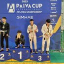파라에스트라천곡