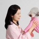 일산애견호텔 애견유치원 맘바이 일산점 | 일산애견호텔 애견유치원 맘바이 일산점 일산애견유치원 장항동애견호텔 운영방식과 시설관리 직접...