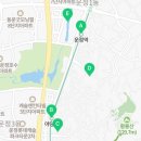 운정역힐스테이트부동산1공인중개사사무소 이미지
