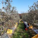 인주면 행정복지센터 이미지