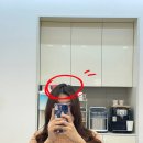 다산미용실 라벨에이치헤어살롱 머릿결 지키며 예쁘게 펌했어요!
