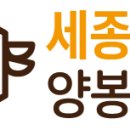 세종양봉백화점 이미지