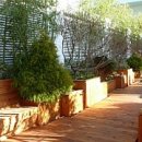 정원약품 이미지