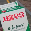 군산대학교 입구 | 매운짜장 끝판왕, 군산 지린성 고추짜장밥 먹어본 솔직후기(+쯔양방문 목격)