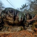 서대산드림리조트 이미지