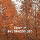 더힐링식물원야영장 이미지