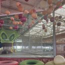 Playground | 방콕 키즈카페 부럽지 않은 무료 키즈놀이터 NET playground 주말 이용후기