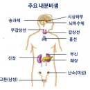 호르몬 불균형으로 일어나는일 이미지