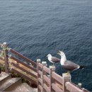 미누현대미술관 이미지