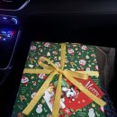 케이나인(K9)호텔 | 리솜 레스트리, 해브나인 스파 후기_제천 회 포장, 둥지치킨, 스파 할인