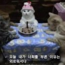 게임클럽 이미지