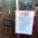 개밥주는여자 | [광주/수완지구] 애견운동장이 있는 광주 신상 애견카페 ‘개밥주는여자’ 다녀온 후기