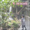 우림기획 - 강동구 천호대로 1073 | 서천 국립생태원 입장료 에코리움 아이와 가볼만한 곳