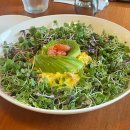 할로인풍 이미지