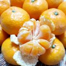 마소물로8번길 이미지