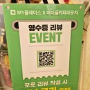메이플커피라운지