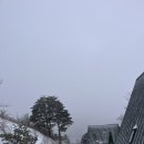 강정한우마을 이미지