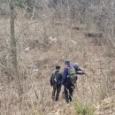 아리바우길(정선코스) 이미지