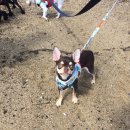 양양 아담하우스 이미지