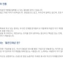 보라엔지니어링 네이버블로그