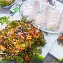 완도수산야채막회 네이버블로그