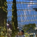 노랑머리앤 이미지