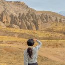 그린홈마트(등1) | 튀르키예 카파도키아 괴레메 레드문 그린투어 후기